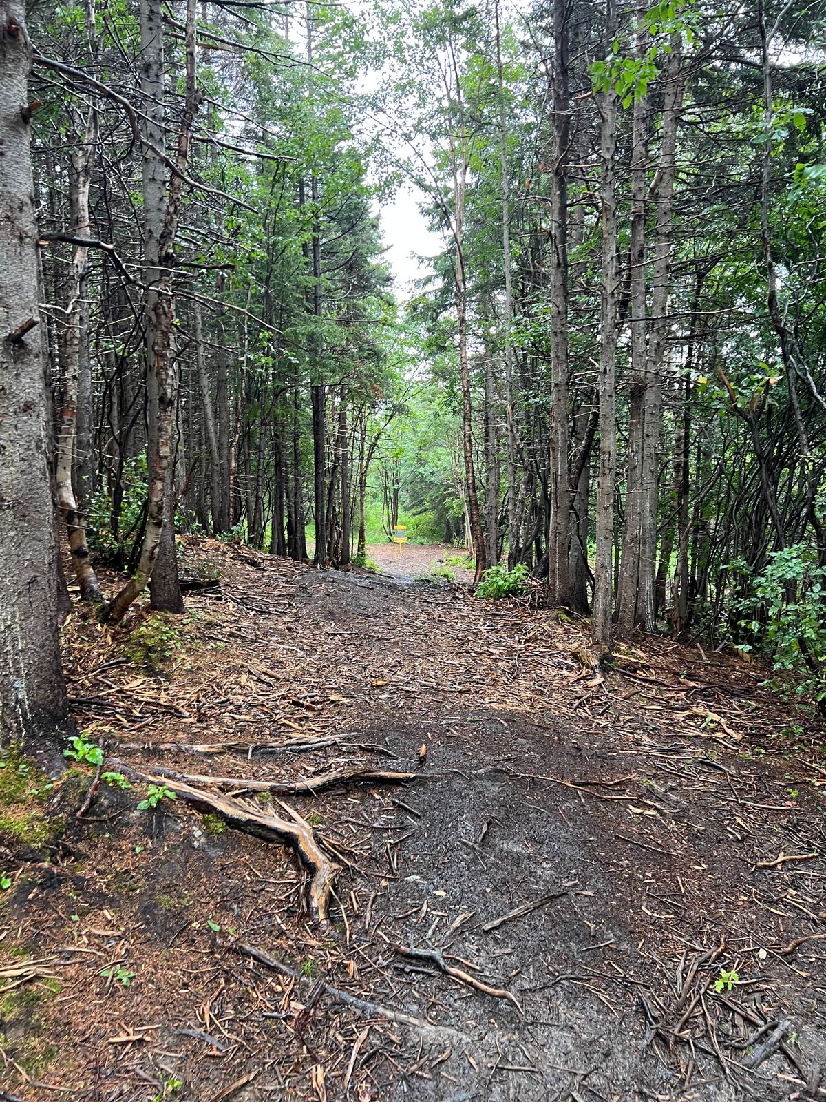 Hole 17 Fairway
