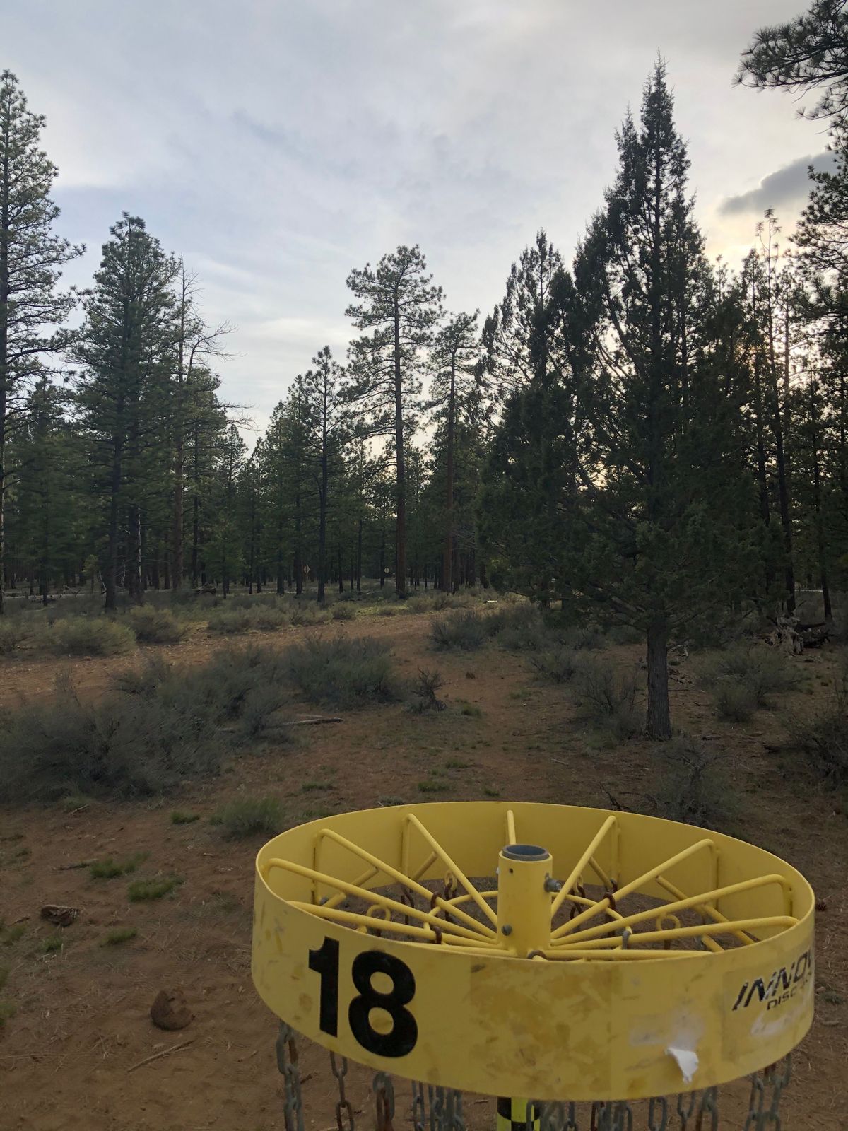 18 basket to tee
