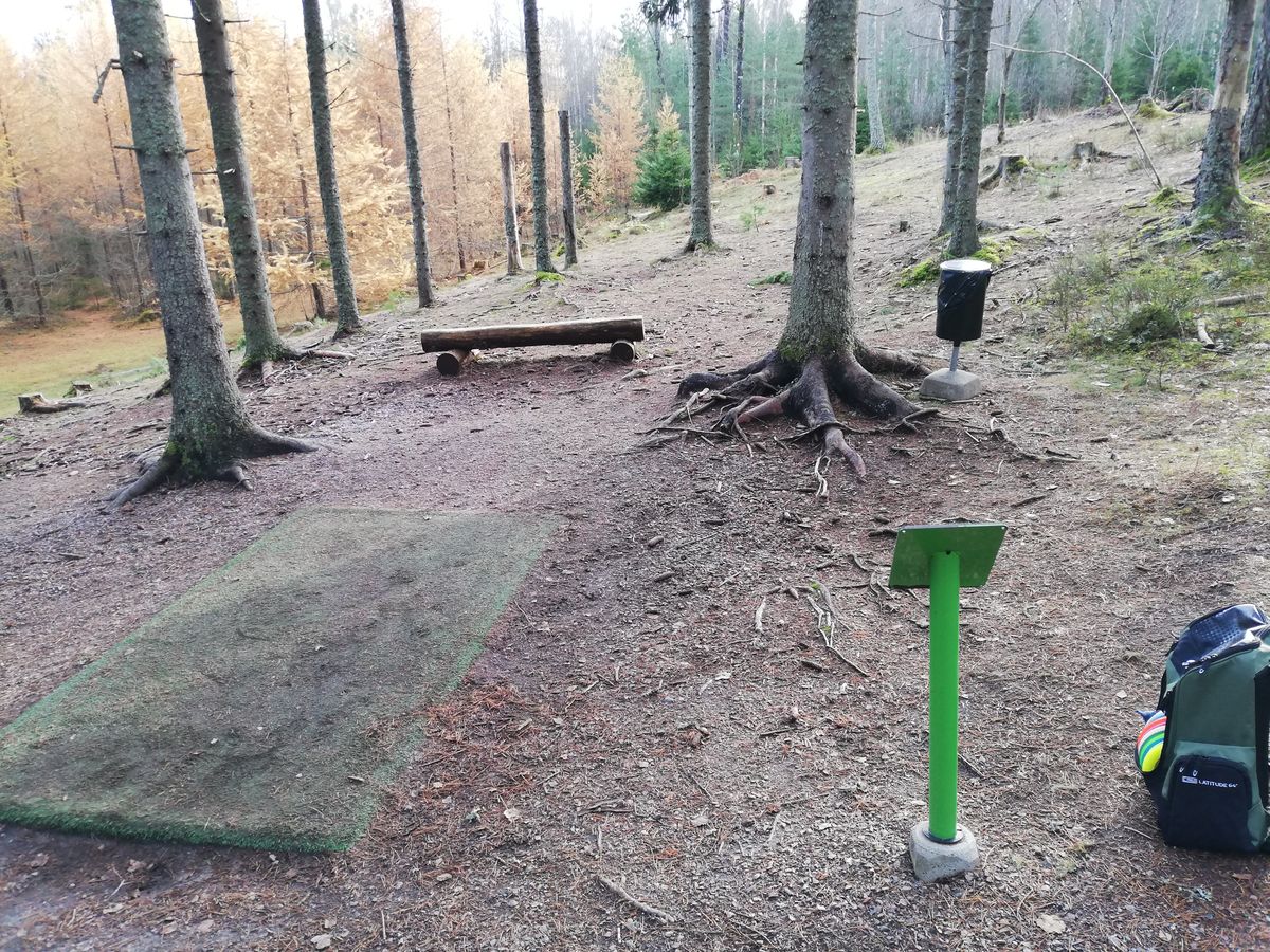 Turf teepads, tee signs, some benches and garbage cans. Well maintained and fully equipped, good course!