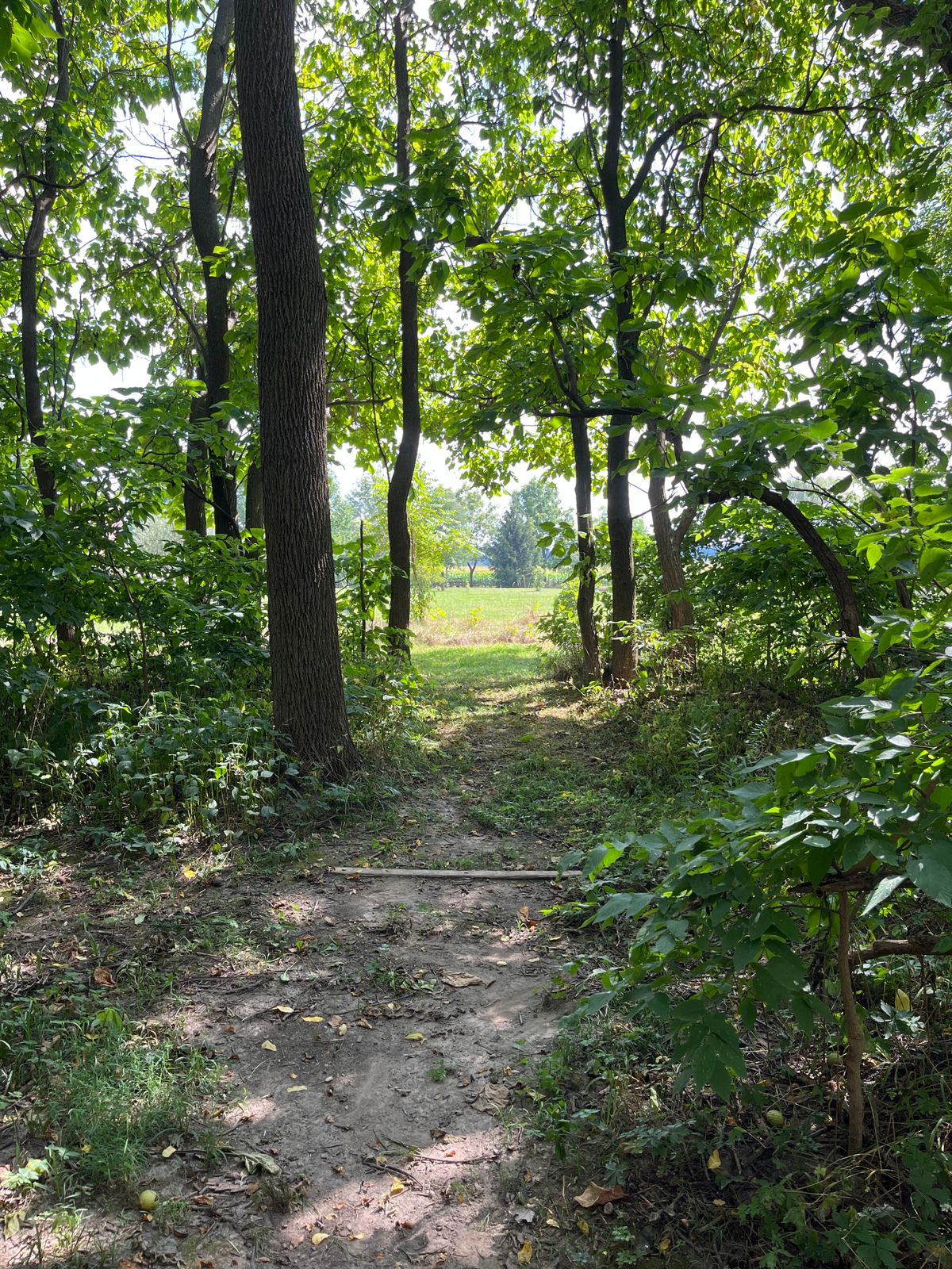 View from the tee of 9.