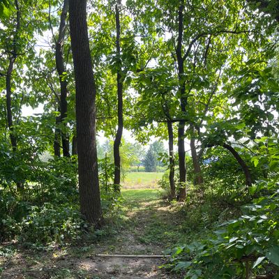 View from the tee of 9.