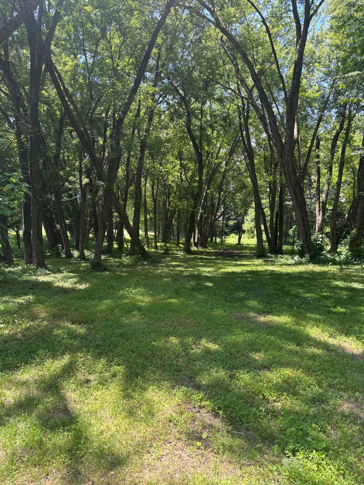 4’s fairway