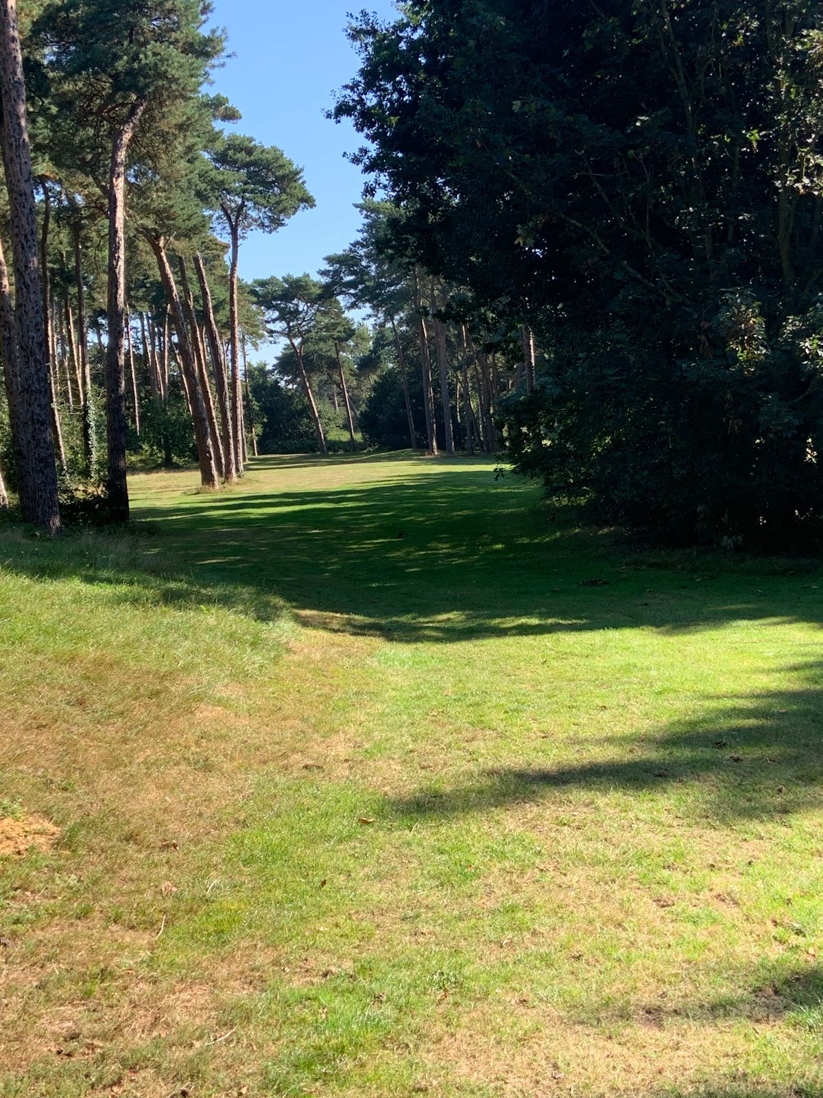 Course photo