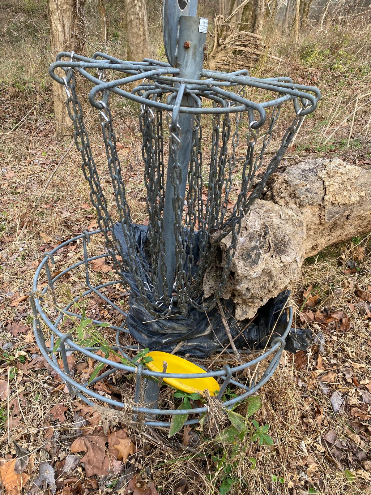 #5 with a massive log and plastic bag in the basket