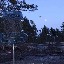 aapomustonen