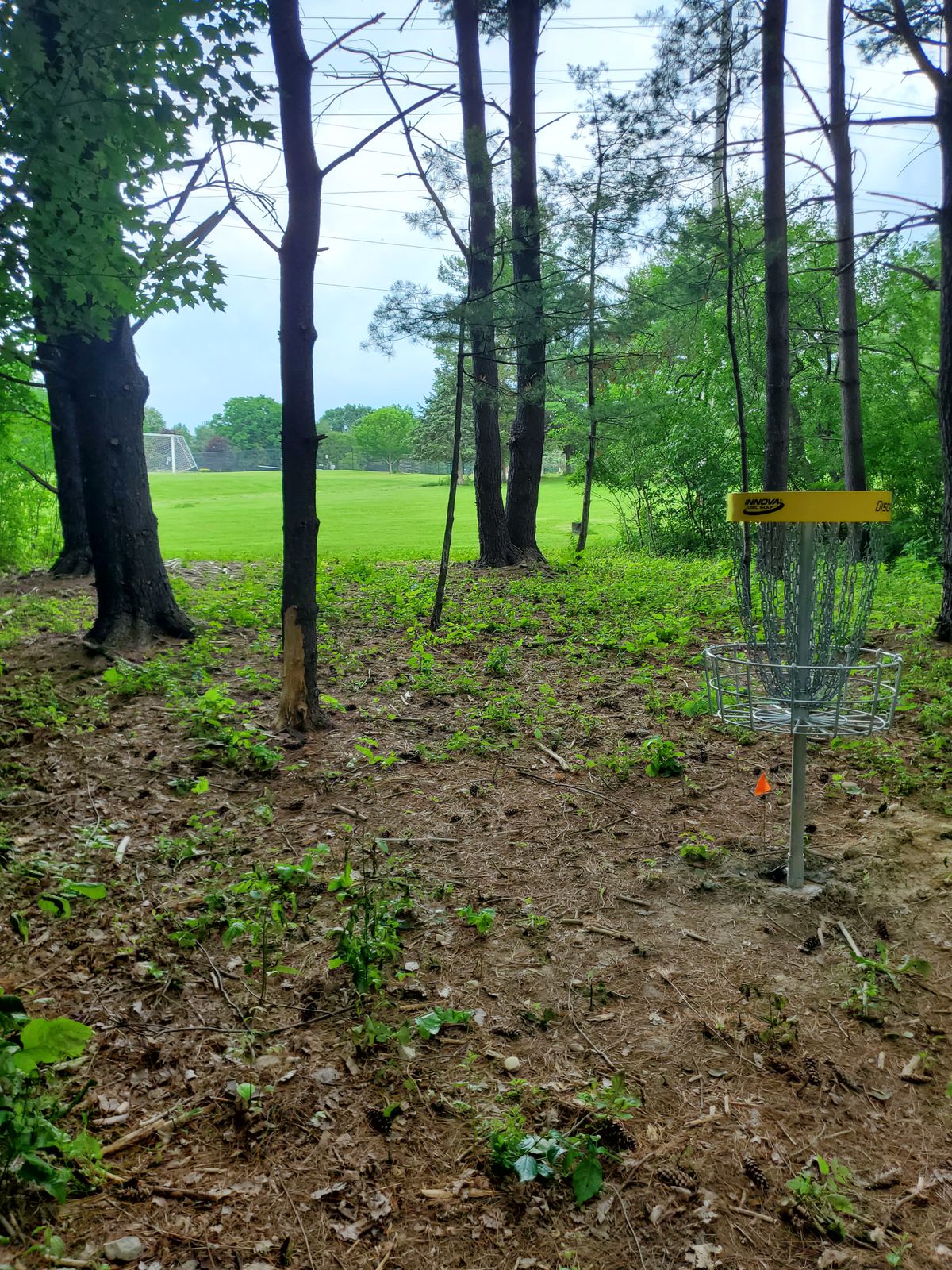 Hole 2 looking back at tees.