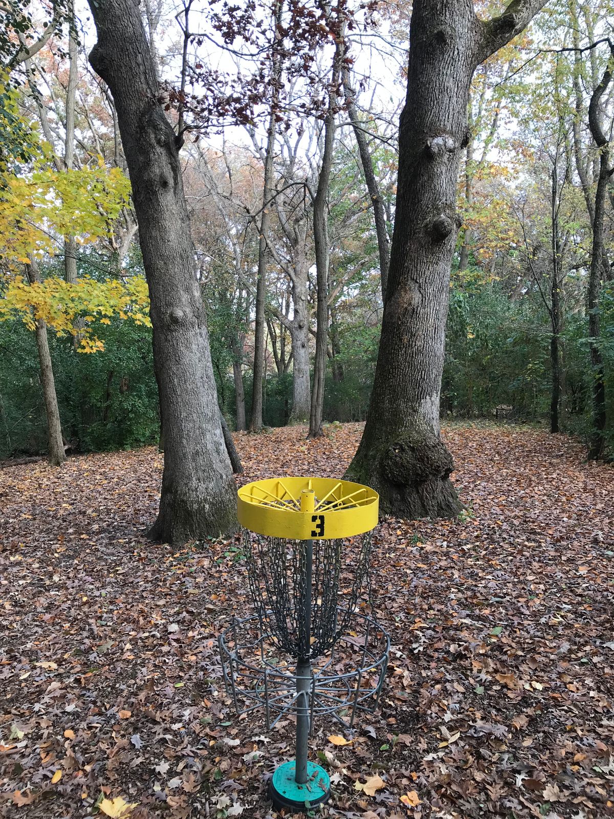 Hole 3 basket looking downhill toward tee pad.