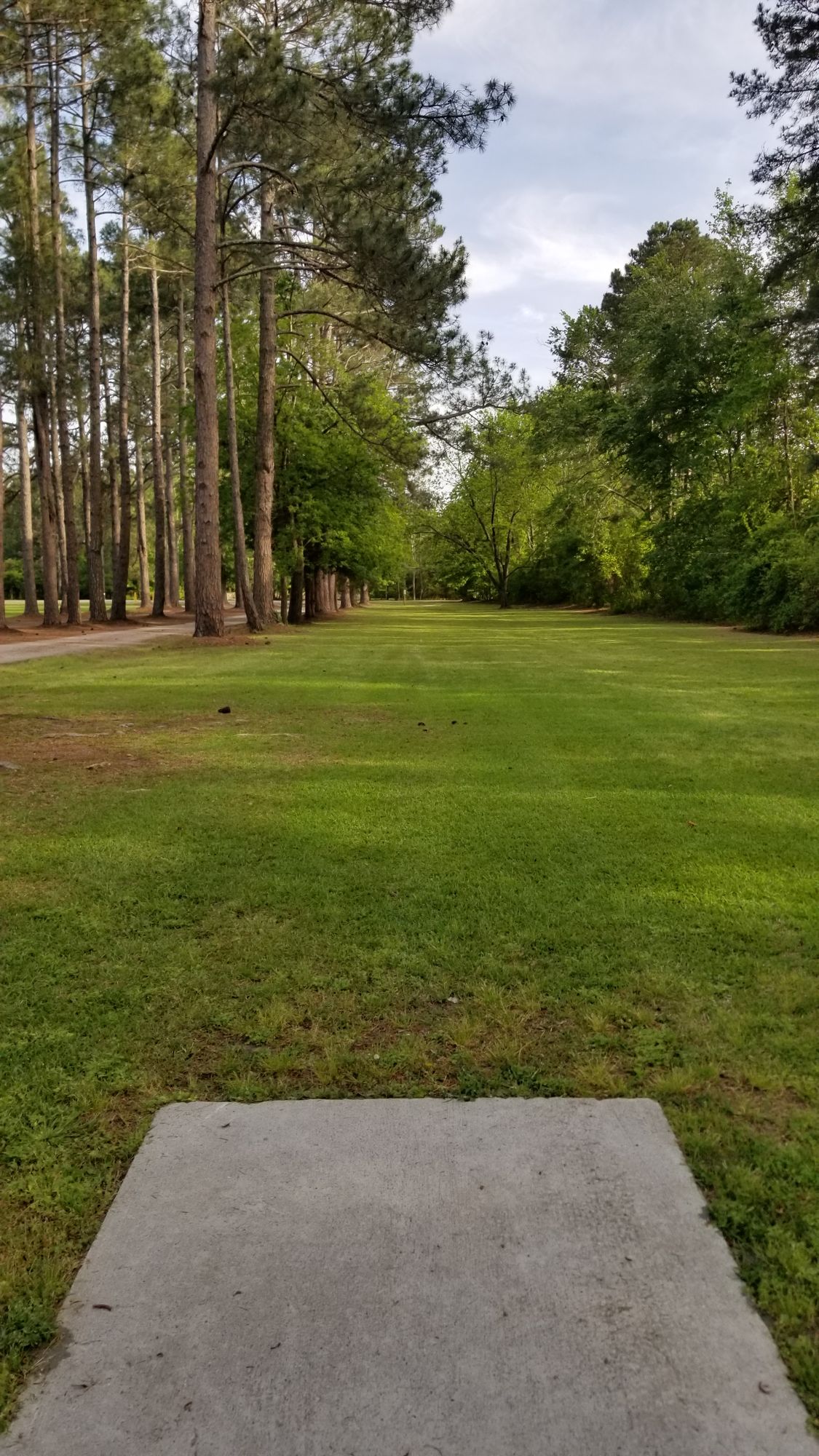 Hole 6