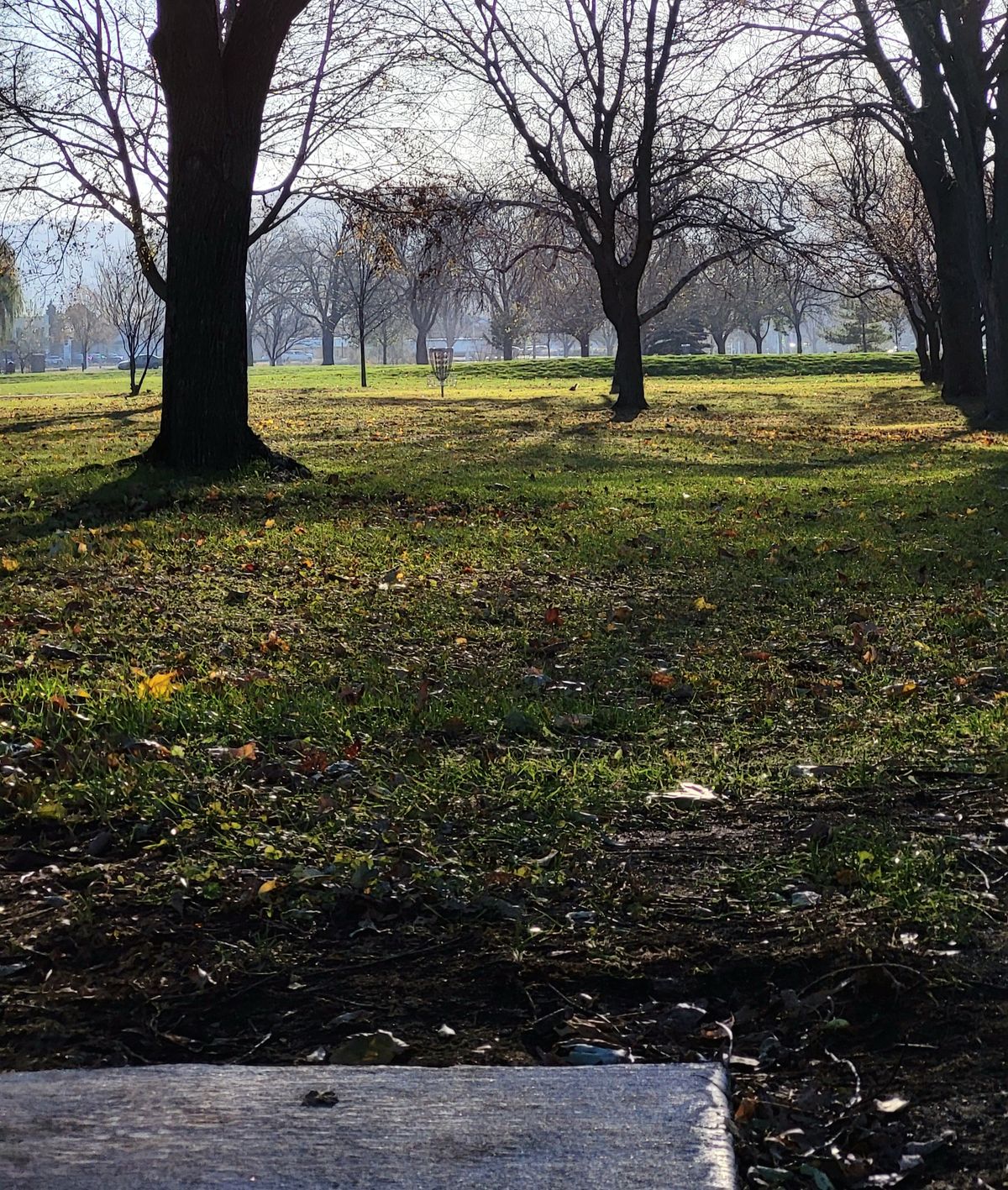 Hole #5