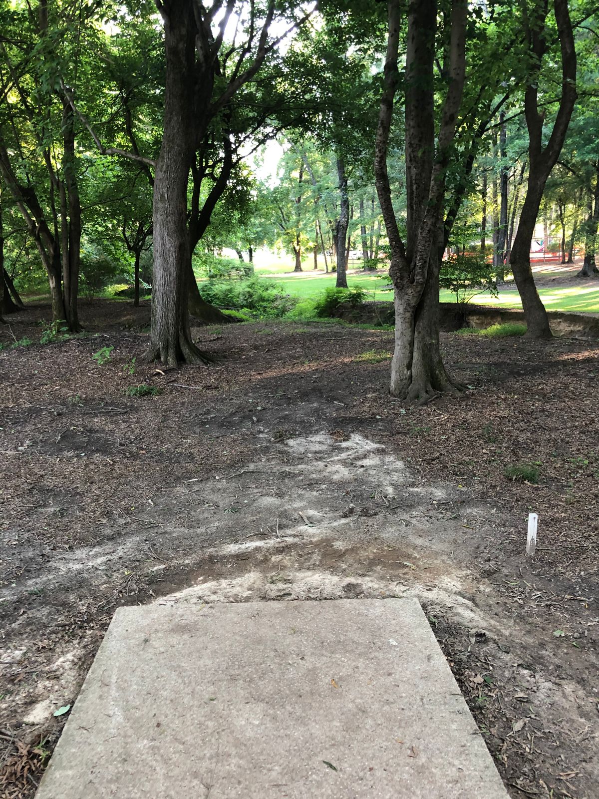 Hole 3 tee.