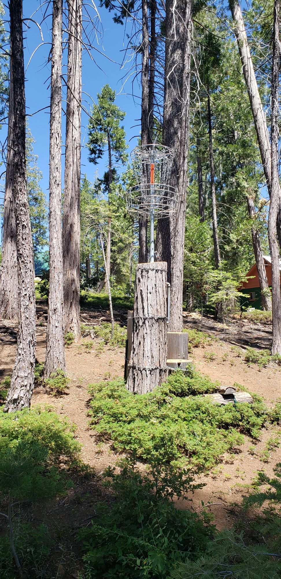 raised basket on hole 18