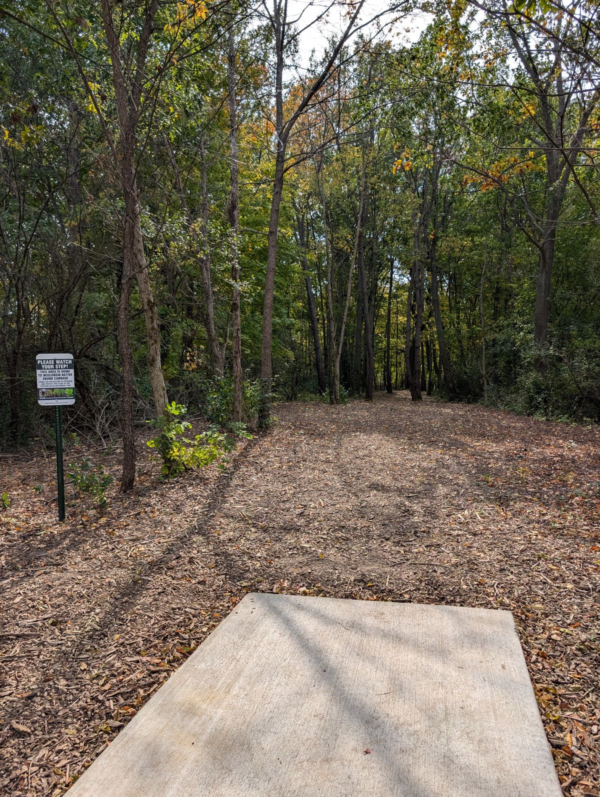 Hole 1