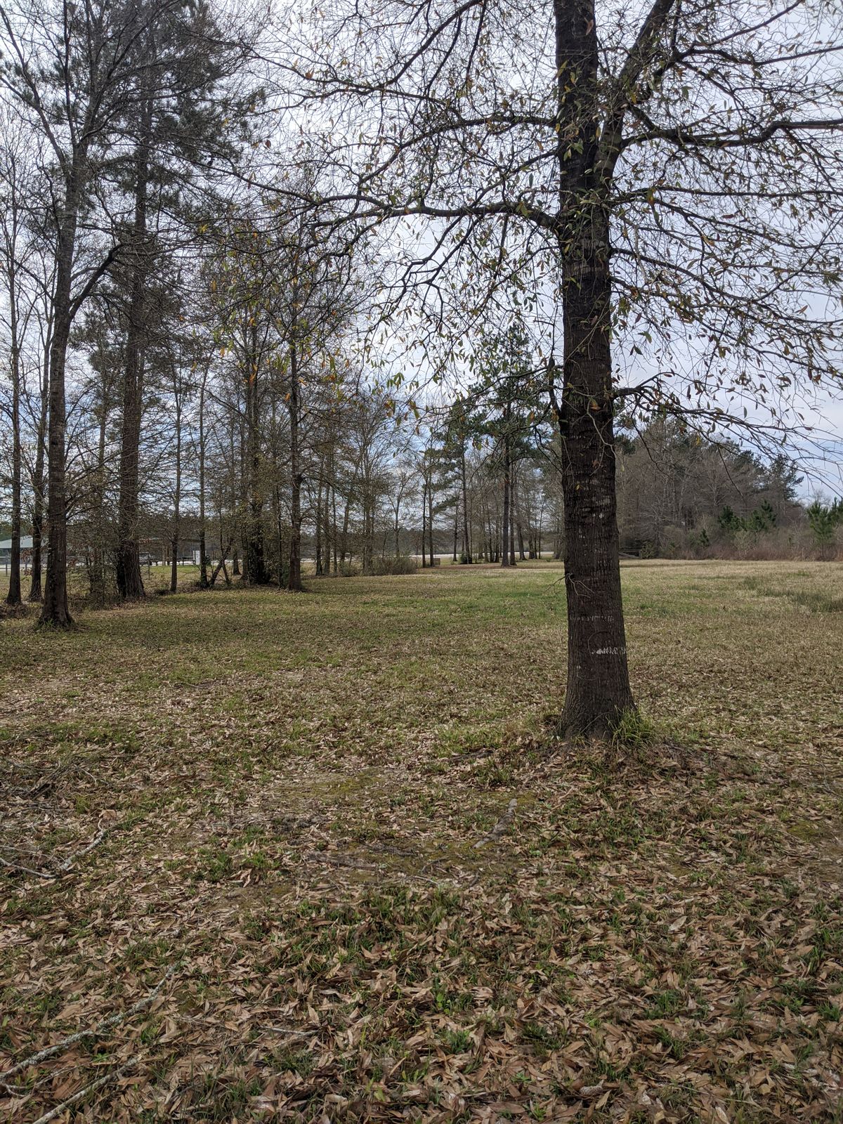 Hole 18 Fairway