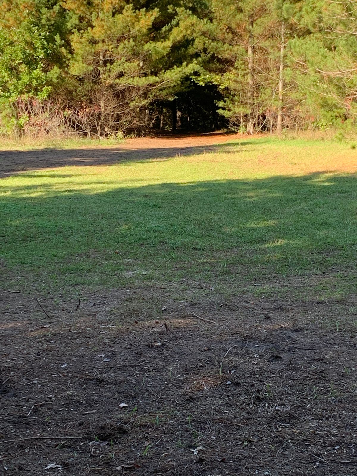 Hole 8 from the tee. You must enter the the tunnel to a basket about 125’ in.