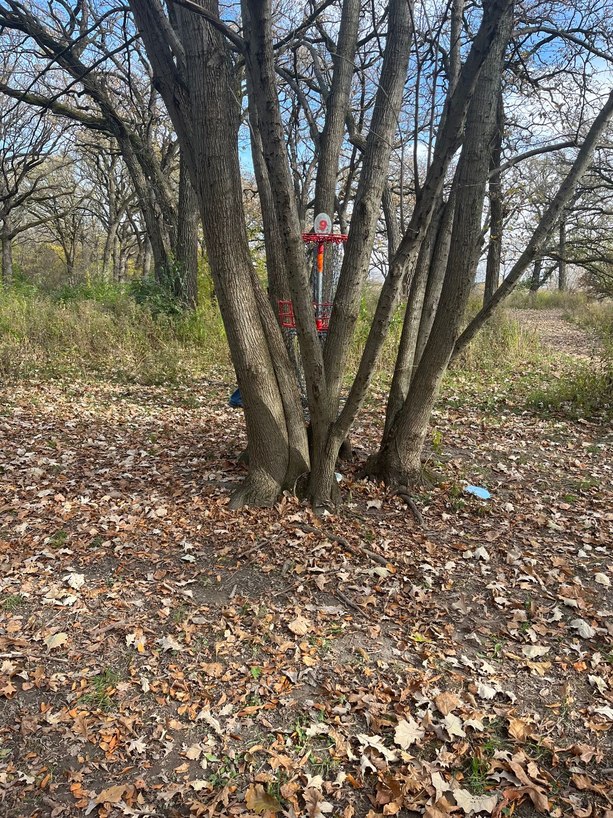 Hole 9 Stacked baskets!! Super fun shot. hooks left