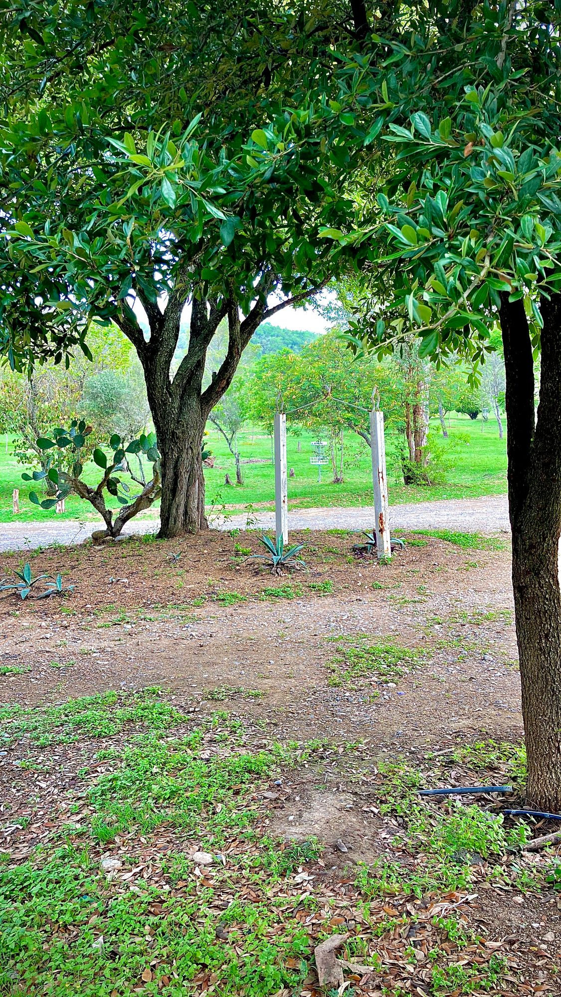 Campo Disc Golf Montemorelos