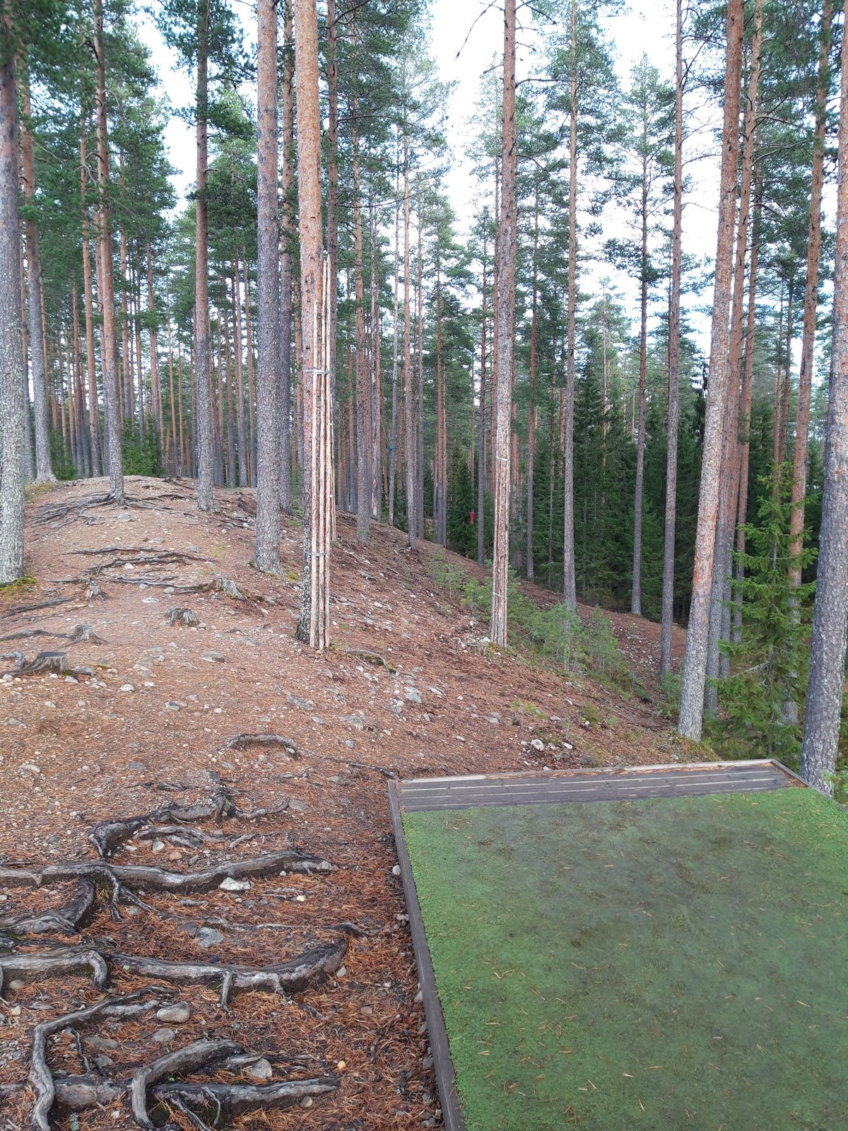 #1 78m par 3 kori montun pohjalla