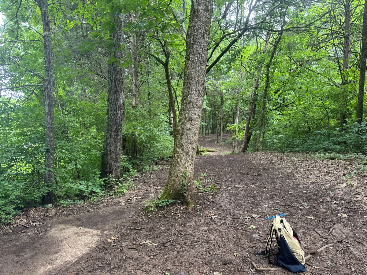 Tee hole #10