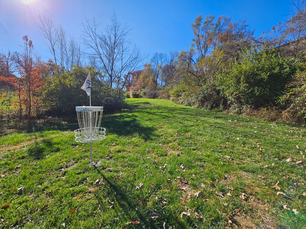 Hole 7 green back to tee