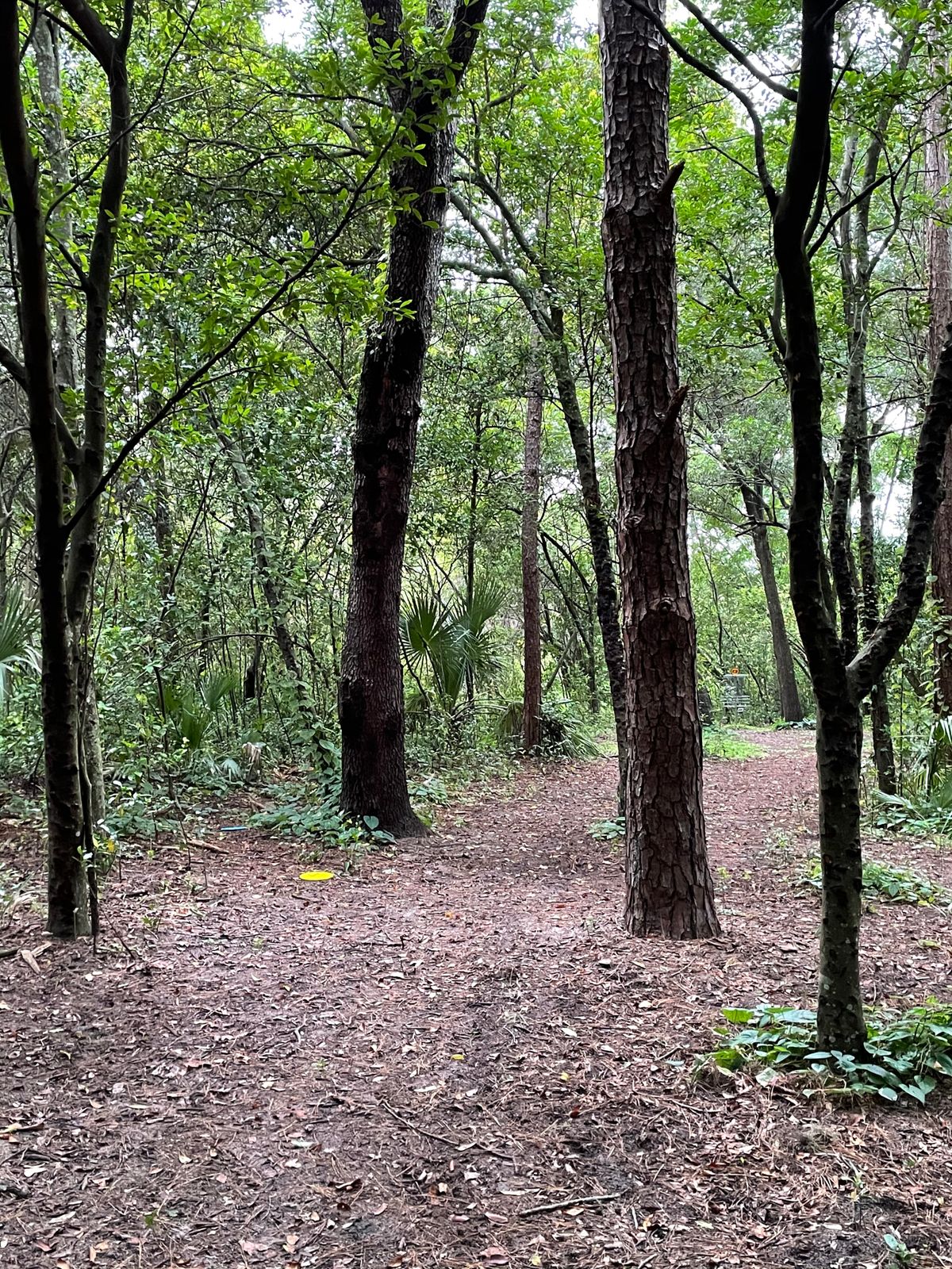 Hole 13
