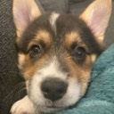 User avatar image