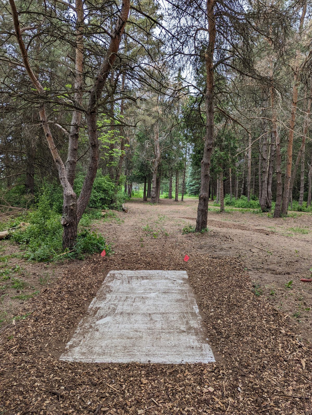 Hole 8 Short
