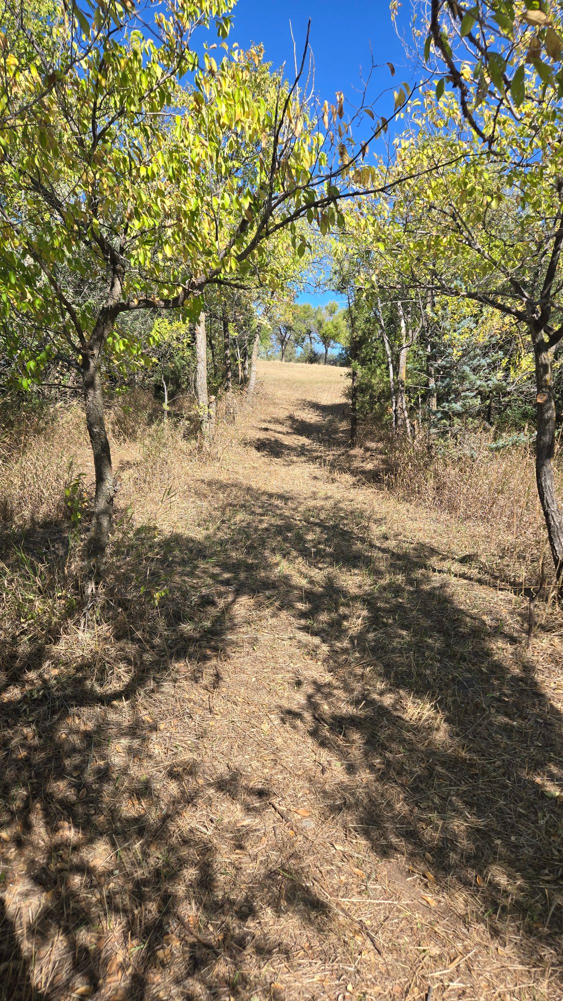 Hole 16