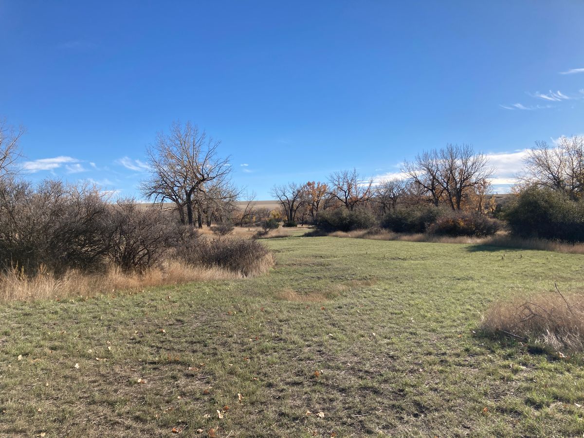 Hole 6 blue fairway