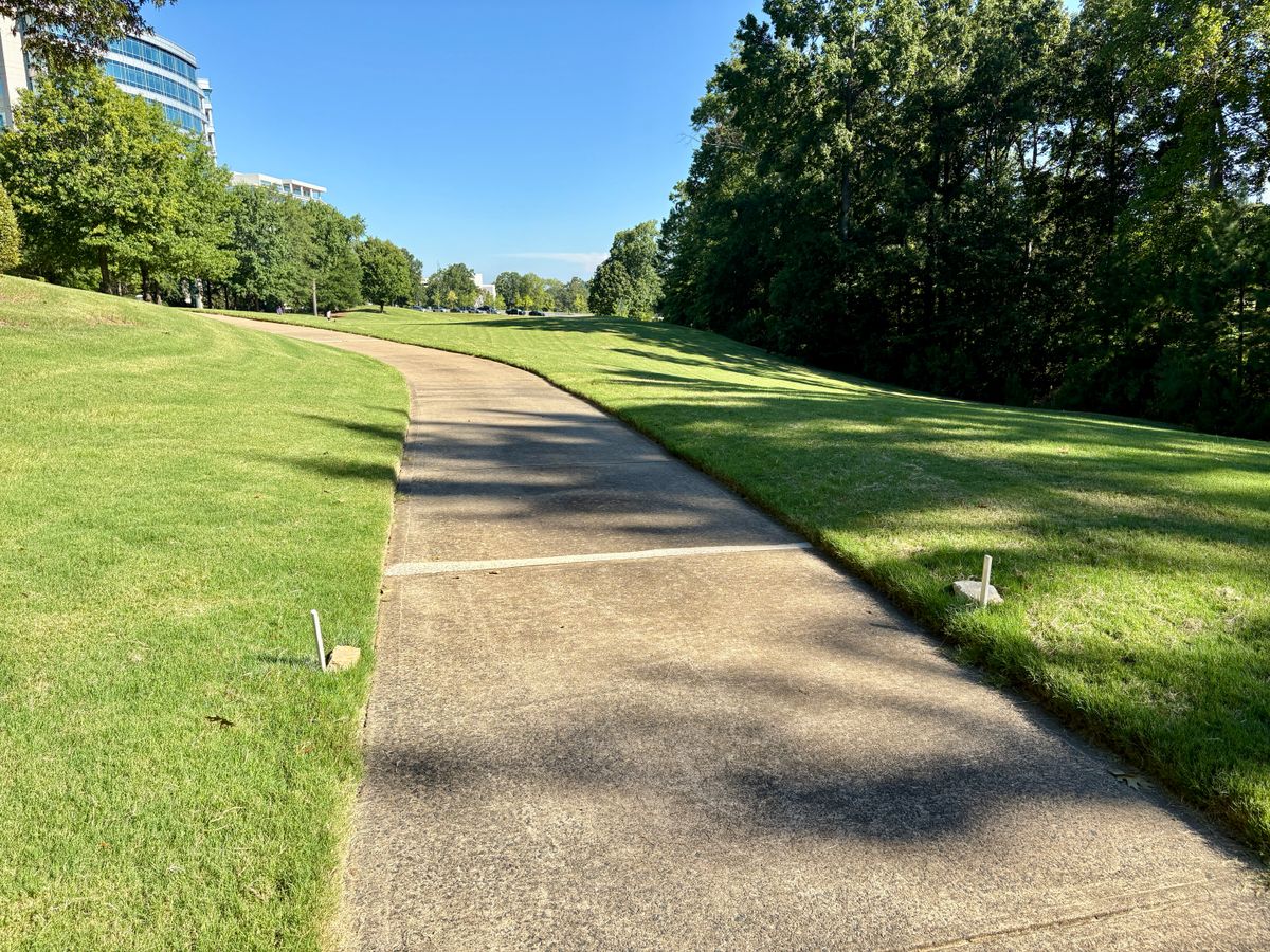 Hole 7 tee