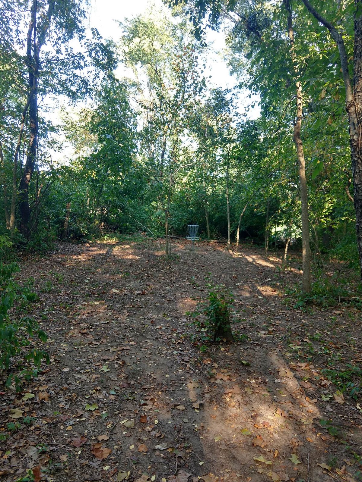 Hole 11