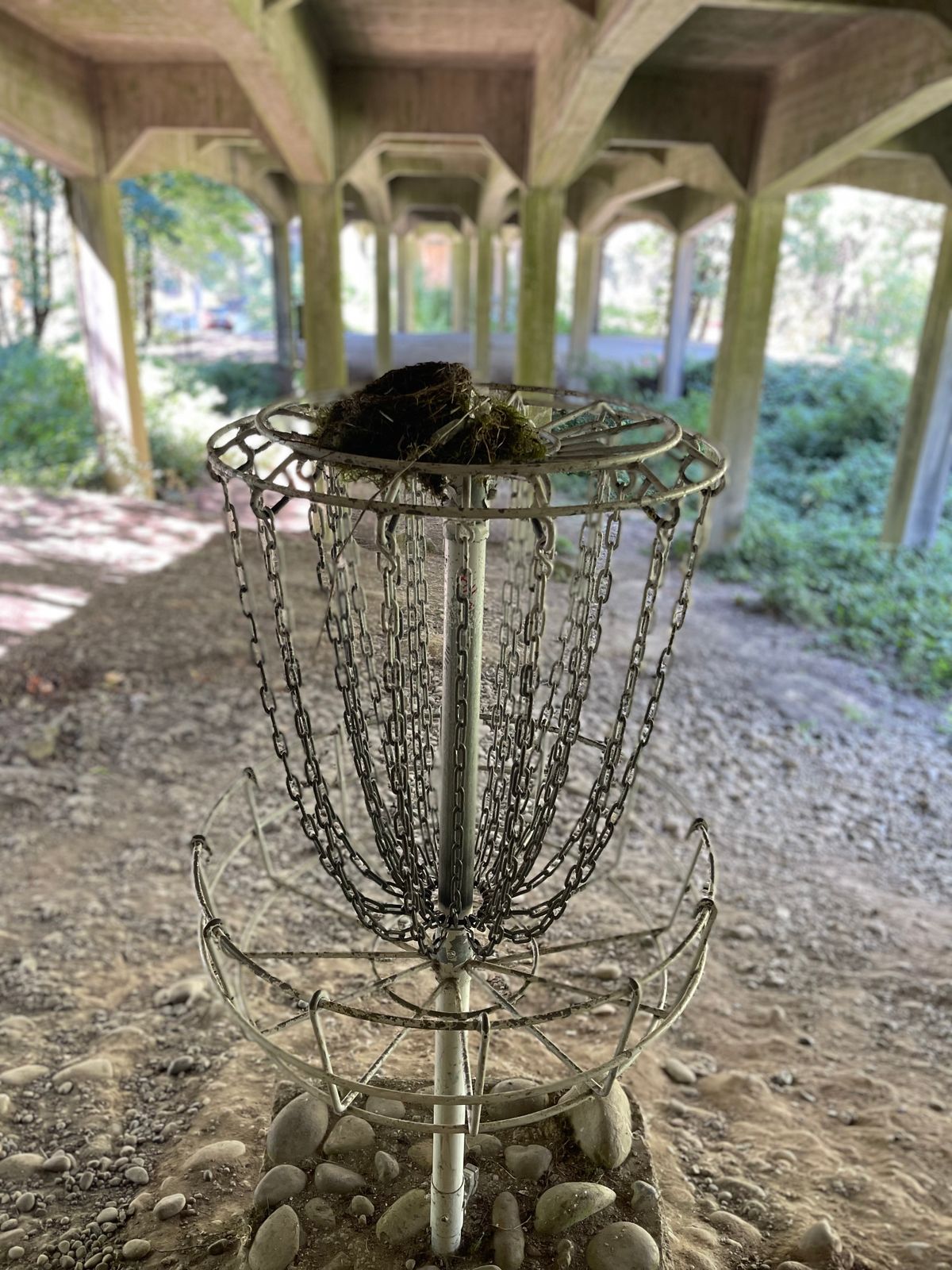 The birds know a good hole when they see one. Hole 1 at Paradise Point.