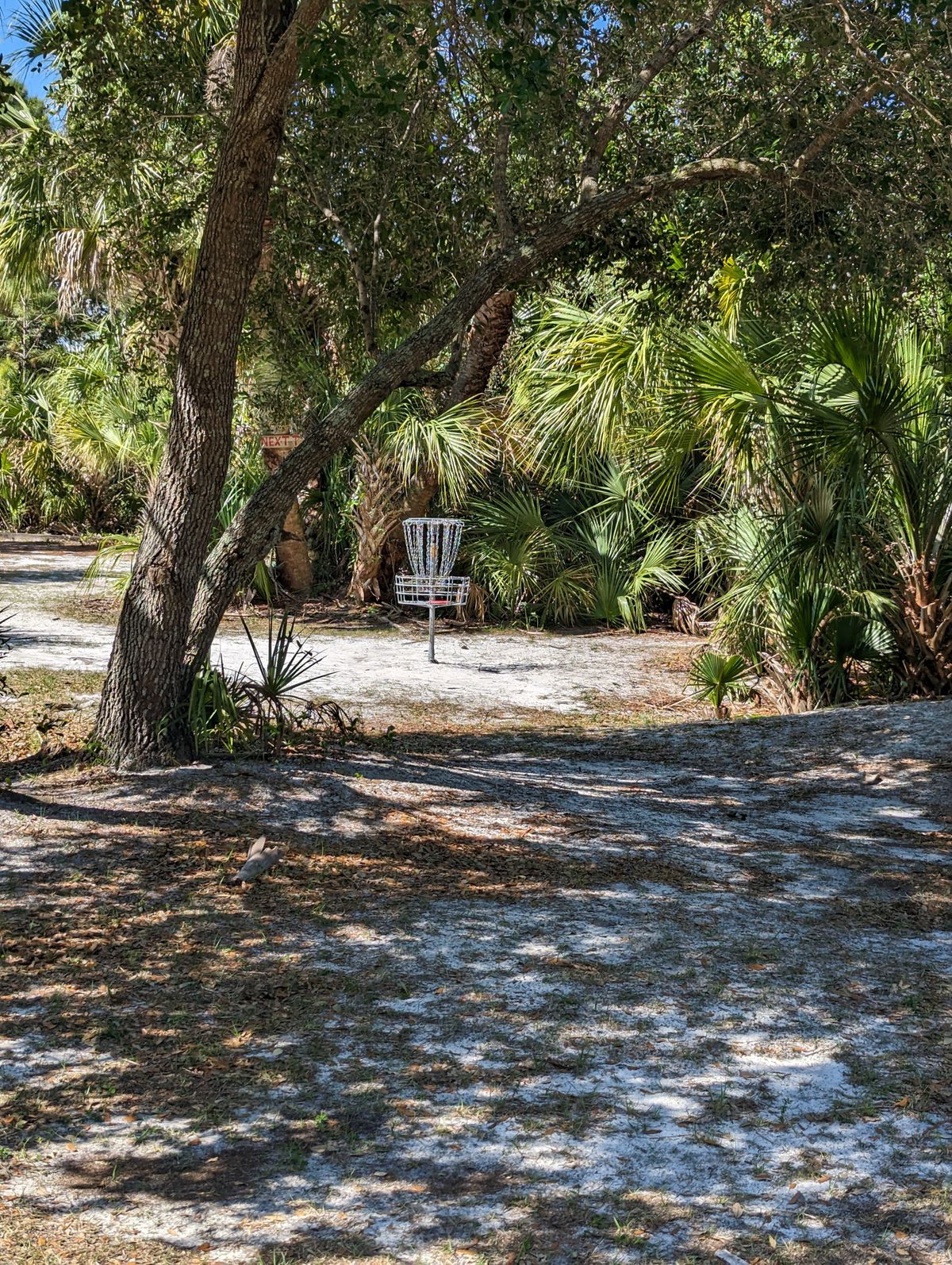 Hole 15 Long Tee Basket View