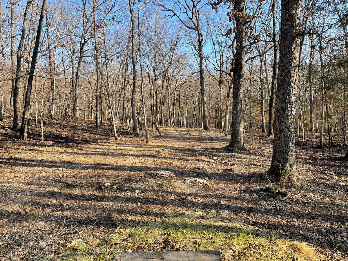 Hole 6 tee shot with mando midway down initial fairway dogleg right to basket on hill