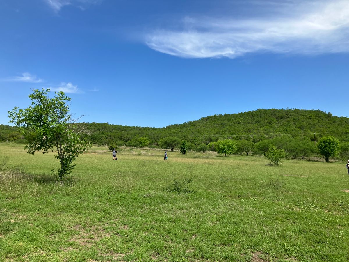 Campo Disc Golf Montemorelos