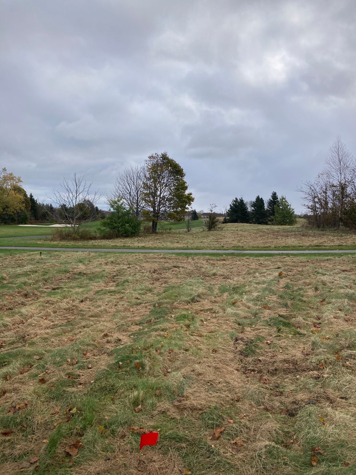Hole 13 Red tee.  Throwing from OB, must land left of East/West cart path.  Otherwise, go to DZ.