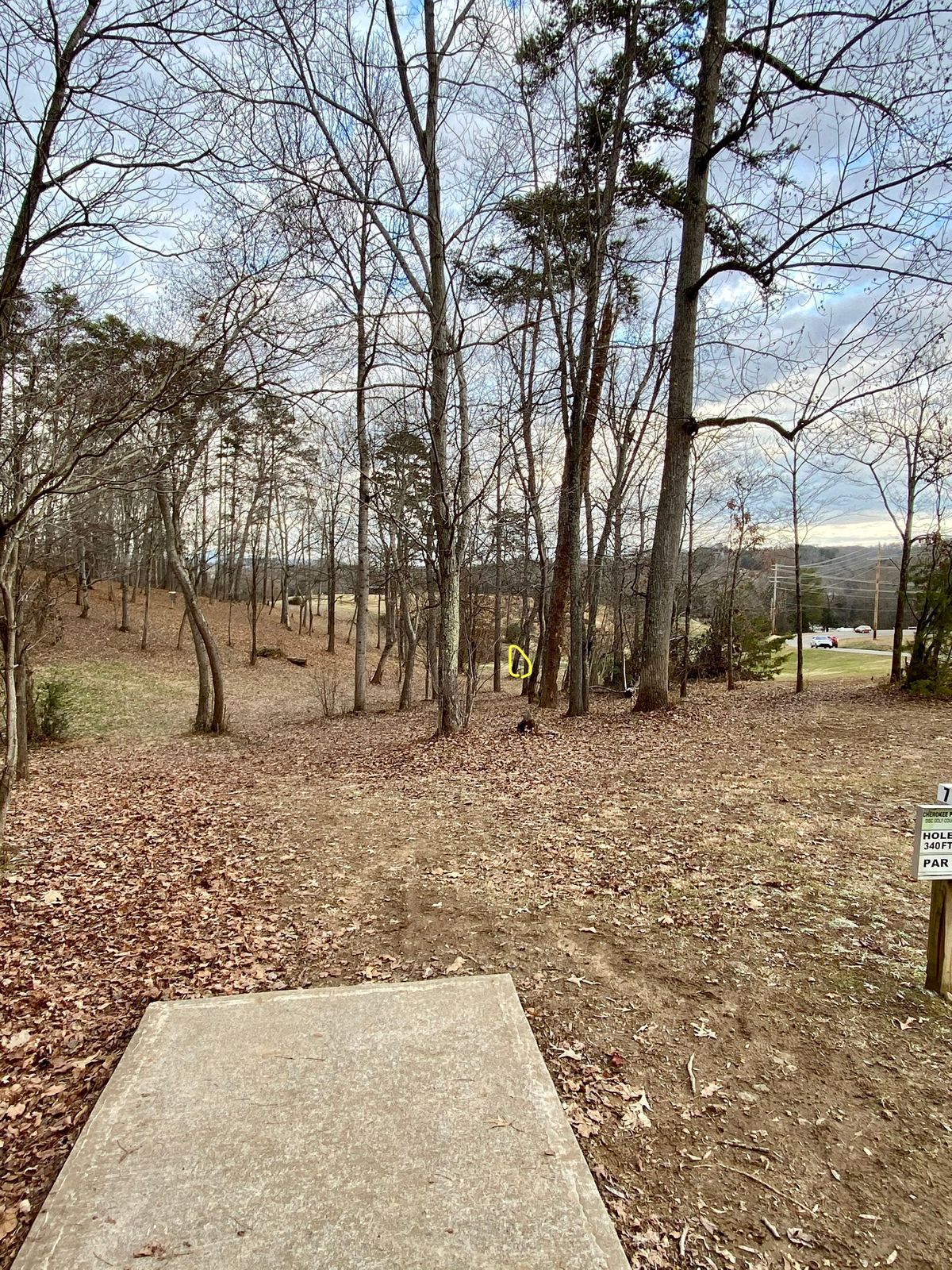 Hole 7 tee