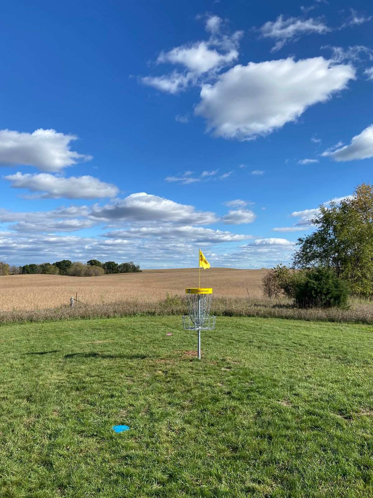 Hole 7 Long Basket