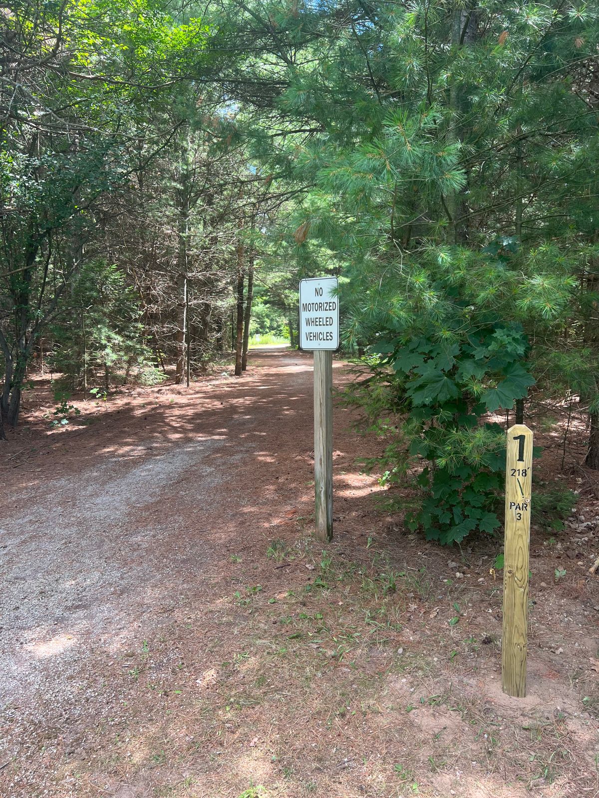 Tee Hole 1