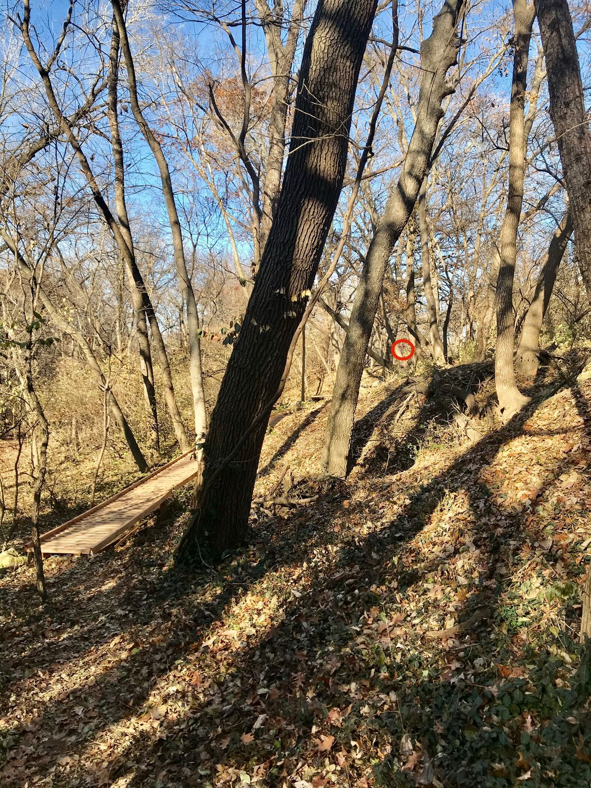 Hole 6 Tee