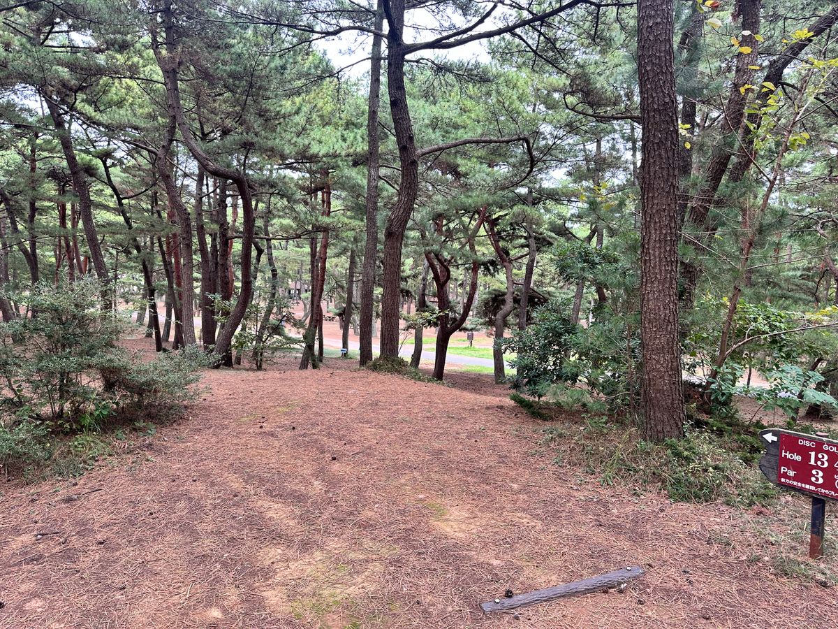 Hole 13