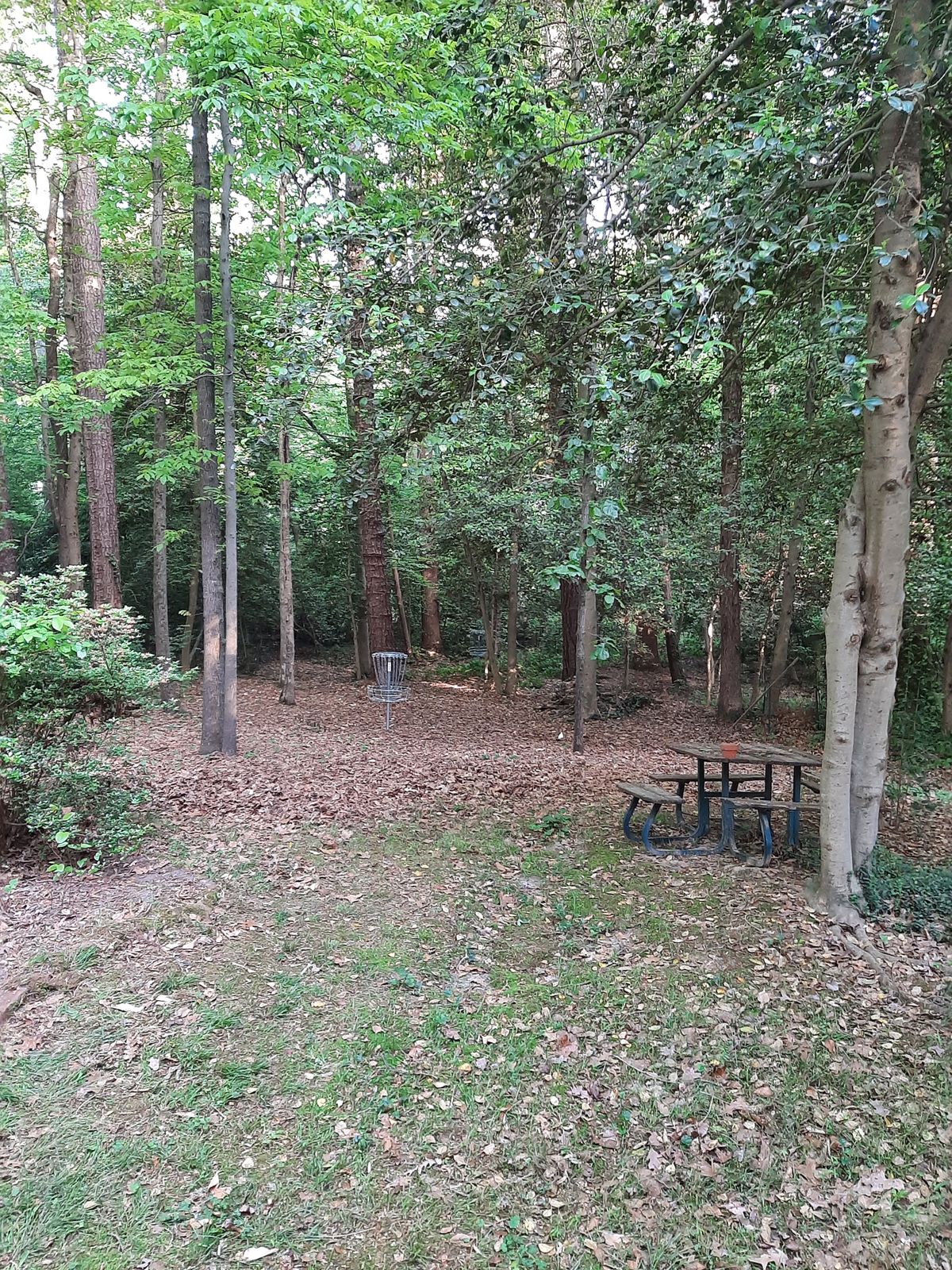 Hole 22 Green A Pin