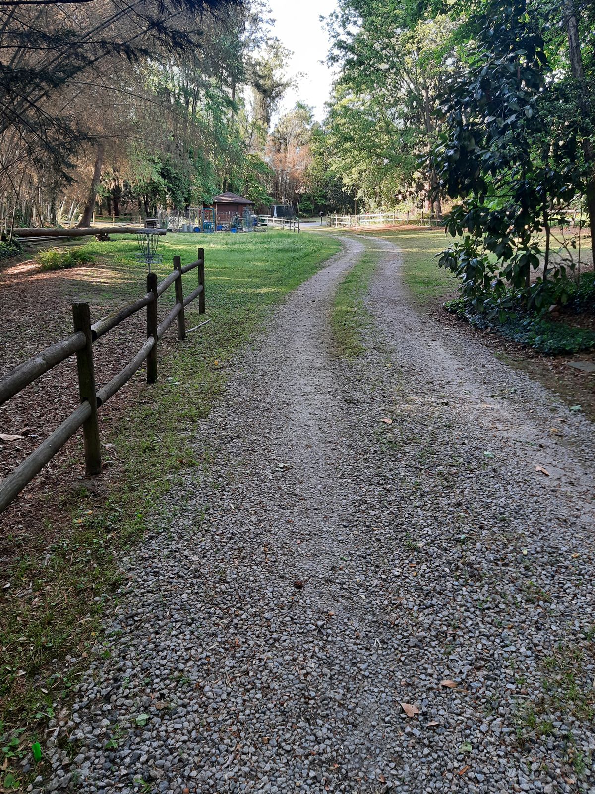 Hole 4 Gold Tee