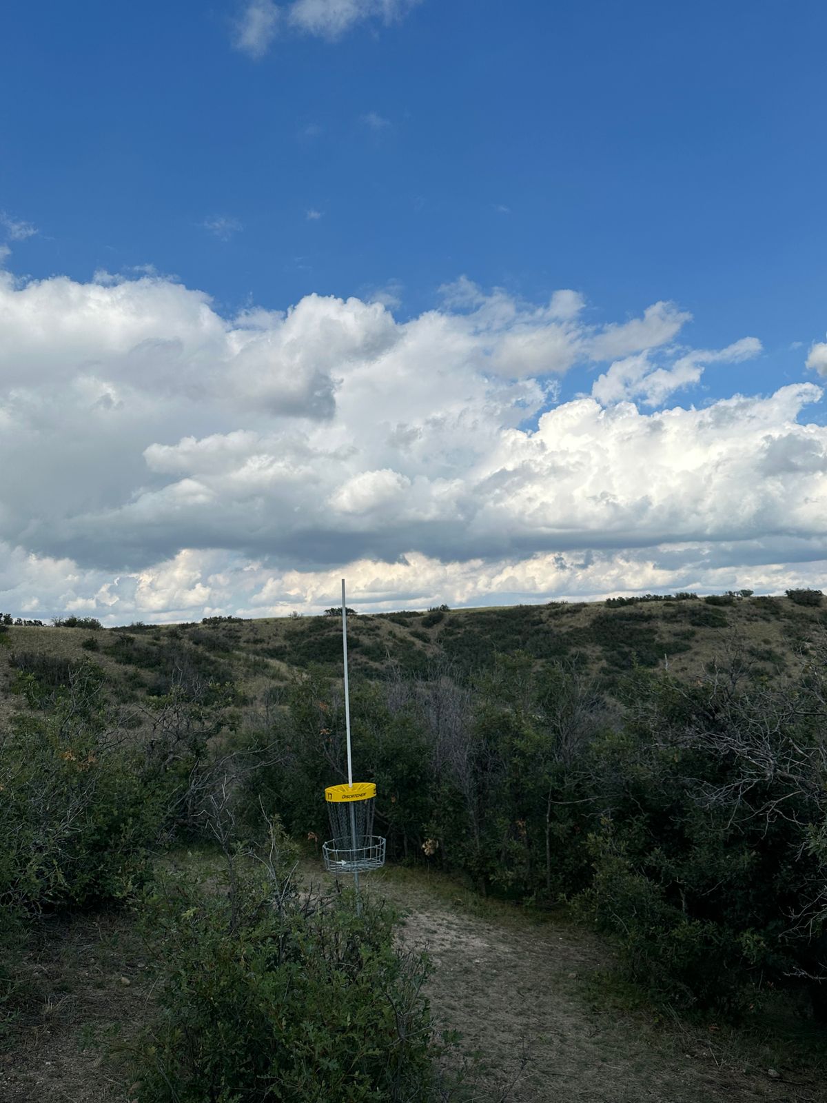 17 green. Very very small landing area and plays downhill.