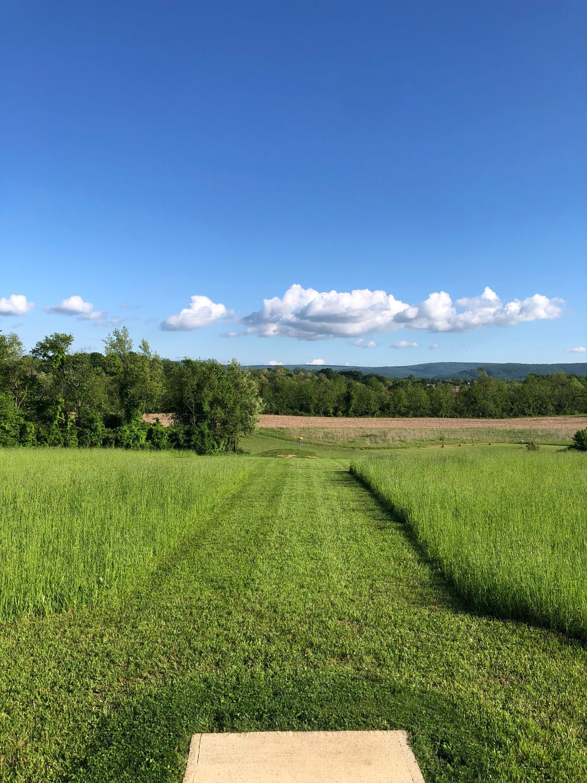 Hole 12 tee