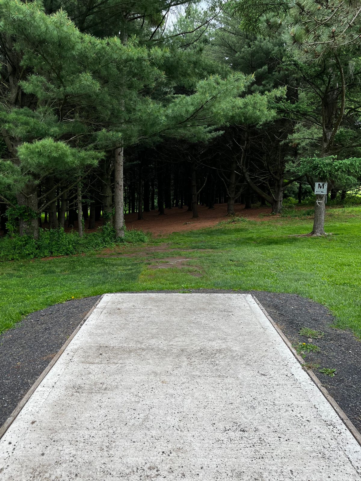 Hole 15 tee