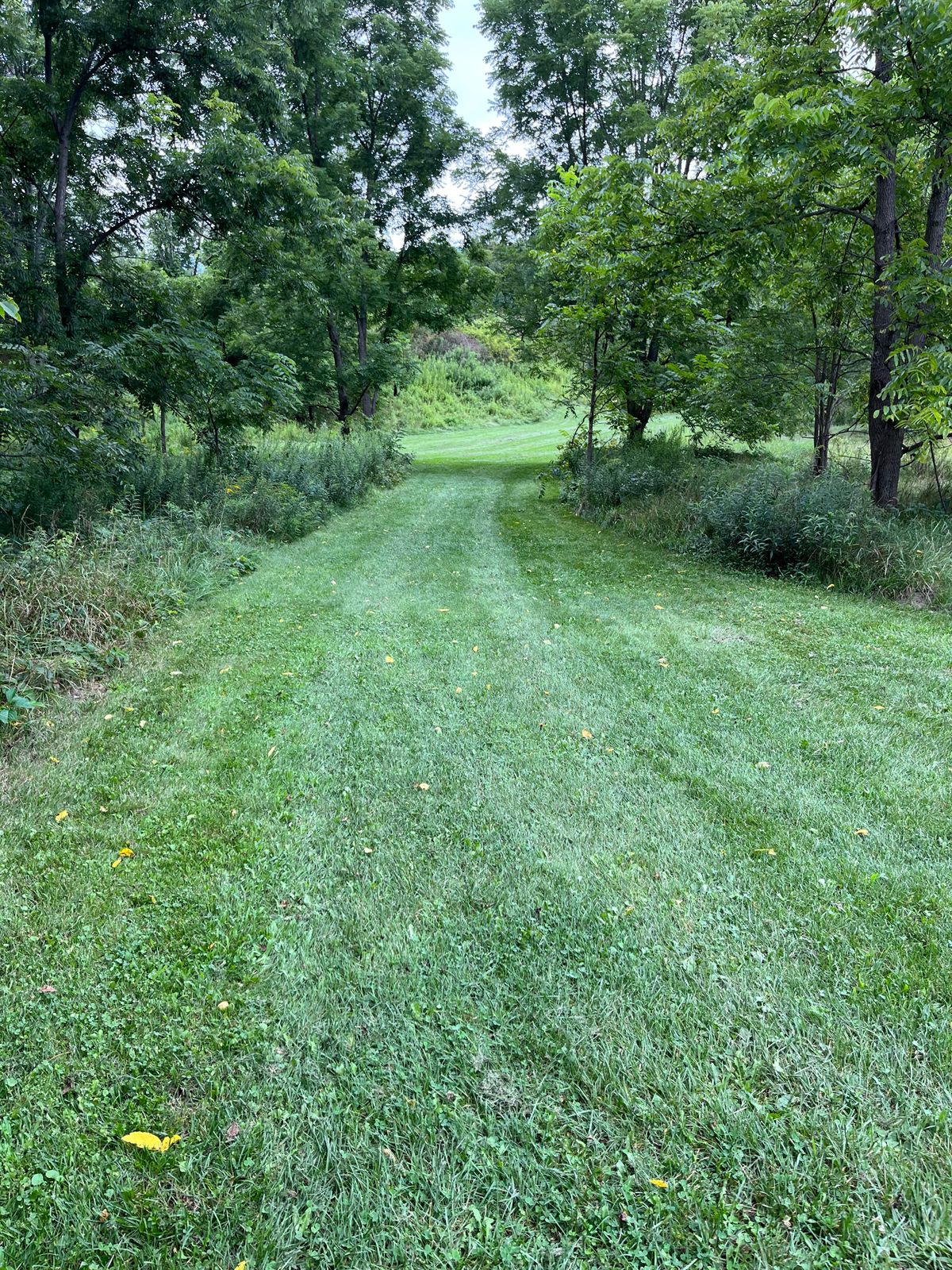 Tee 2