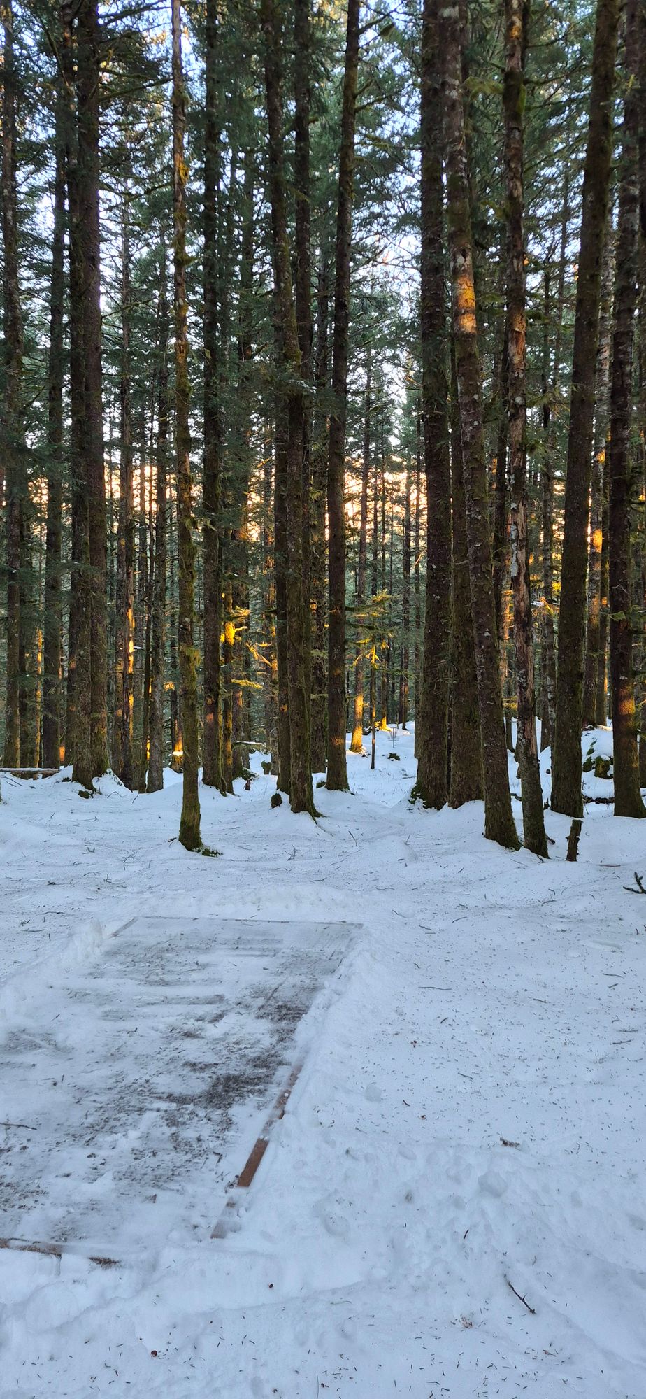 Tee pad with a clear shot to the basket.