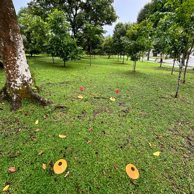 Hole 1 Teepad