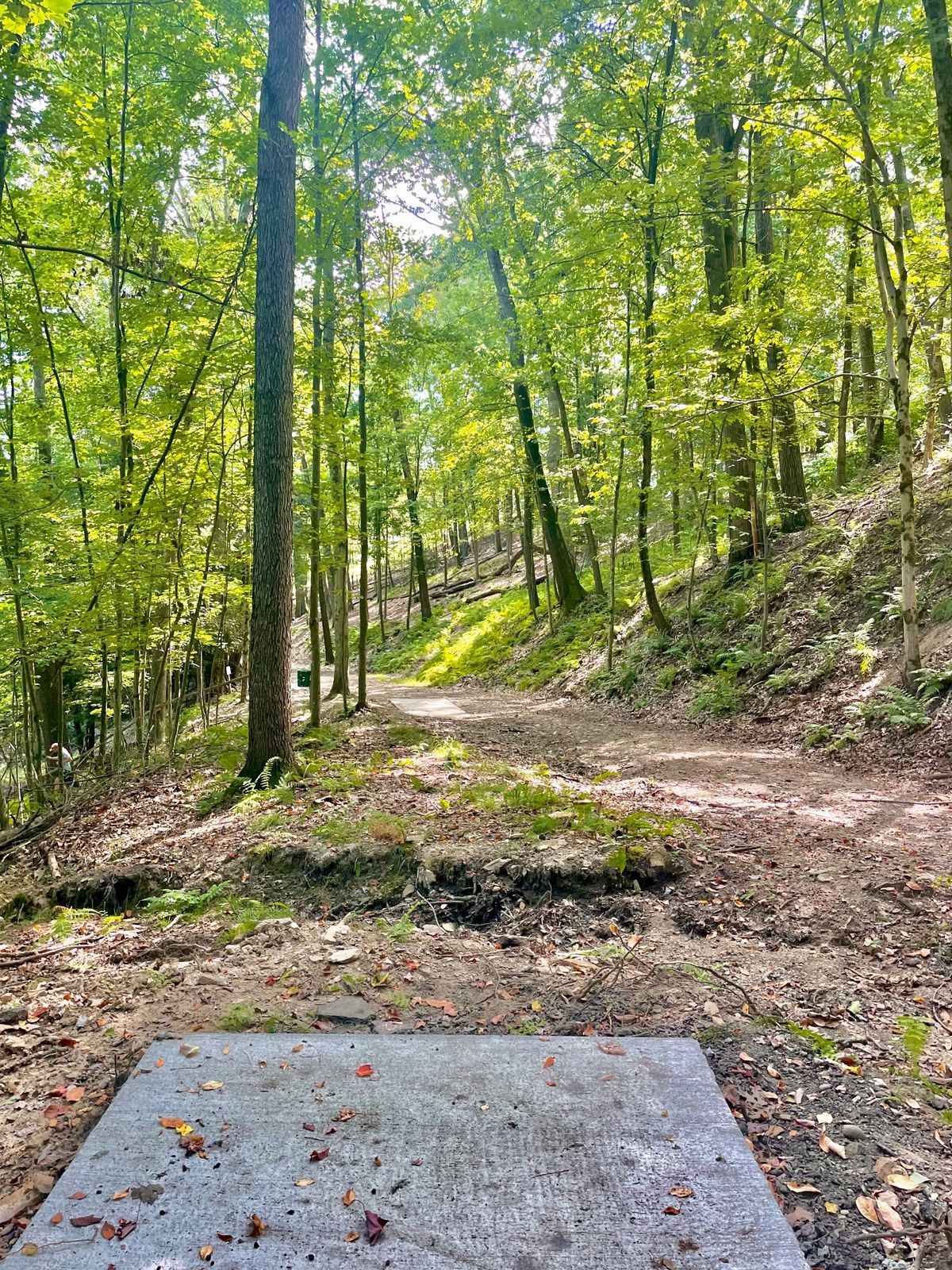 Hole 10 teepad