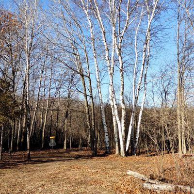 Sandy Knoll Disc Golf Course West Bend Wisconsin UDisc Disc Golf